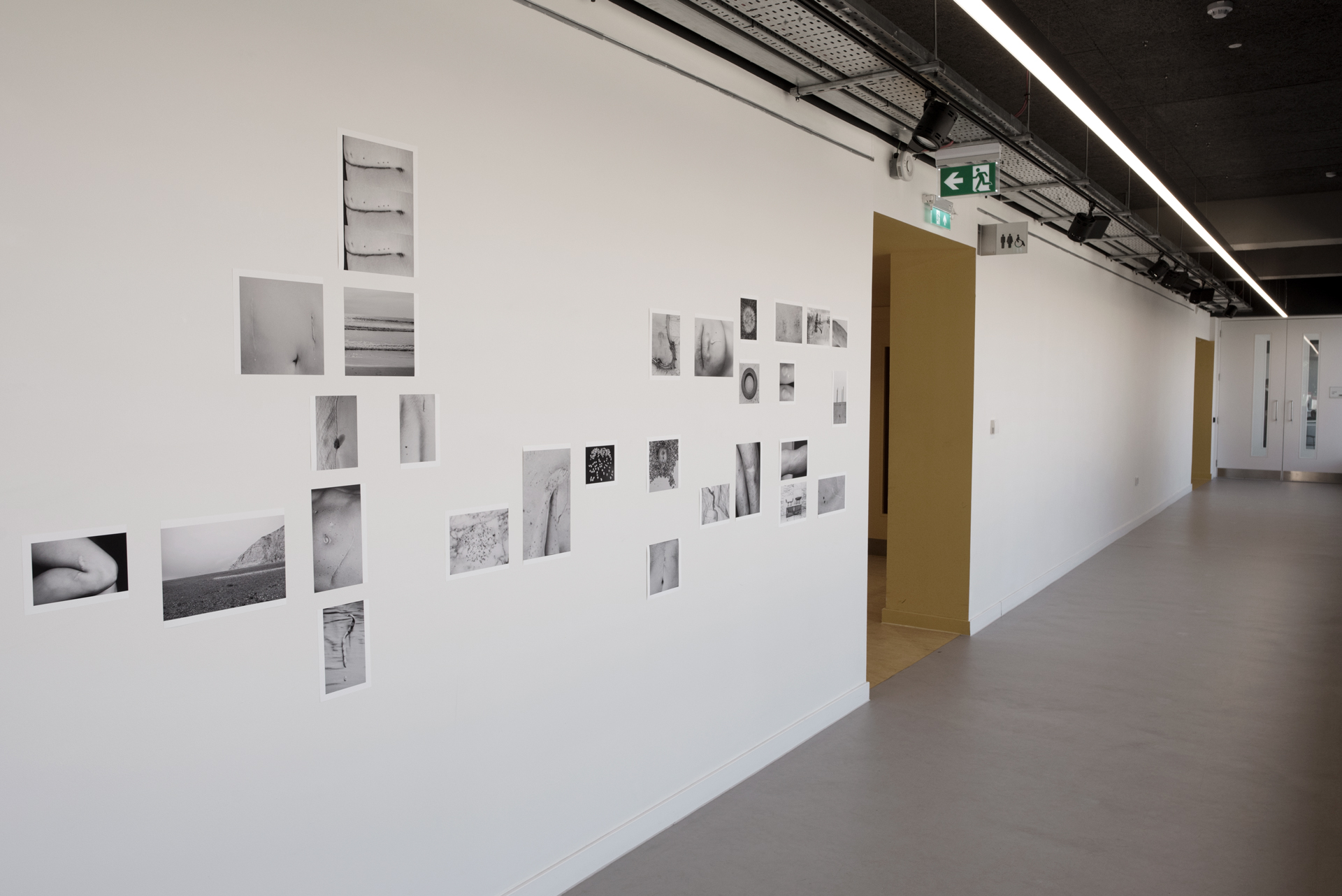 Undefined spaces, Humans walk in, A garden