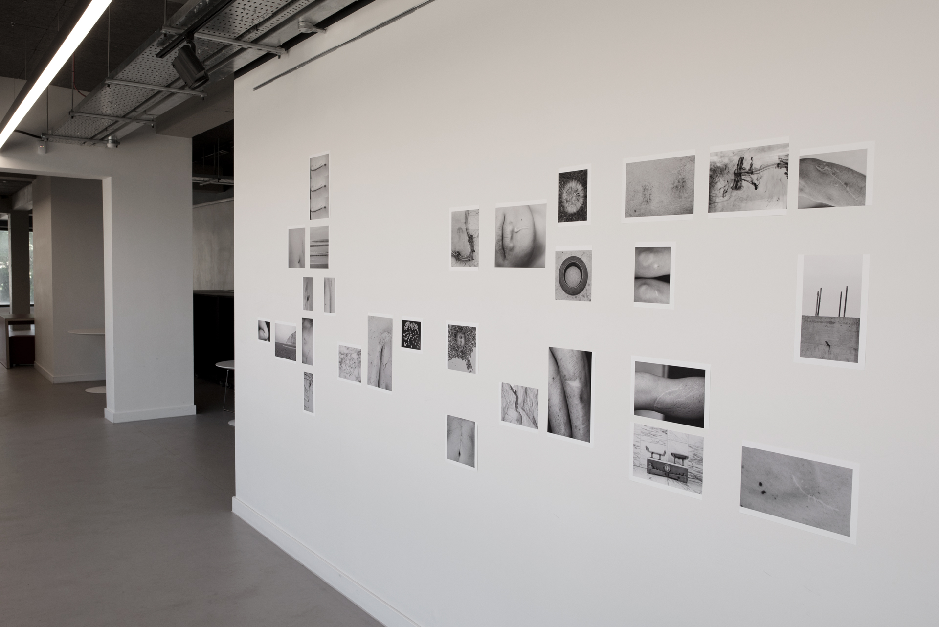 Undefined spaces, Humans walk in, A garden