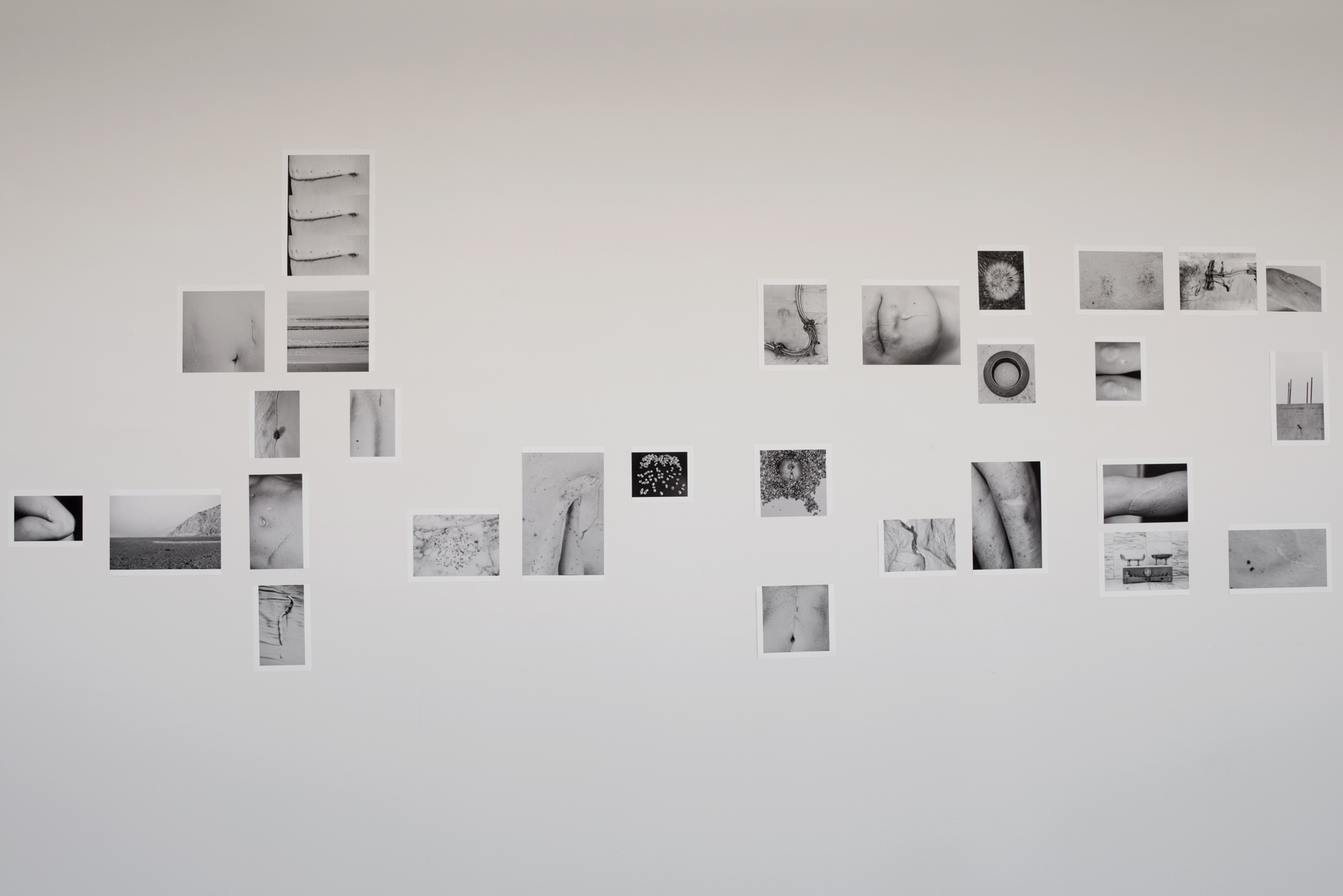 Undefined spaces, Humans walk in, A garden