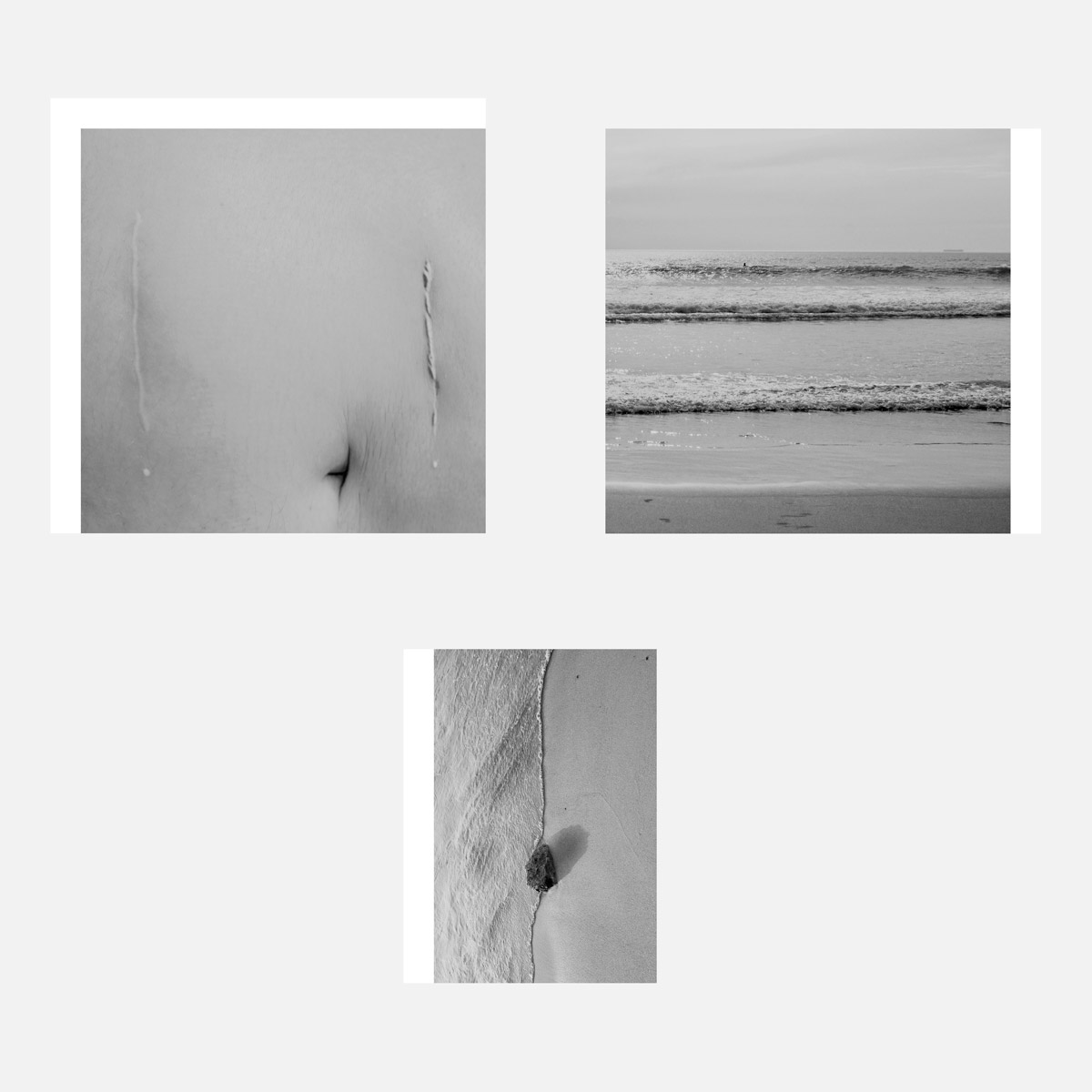 Undefined spaces, Humans walk in, A garden