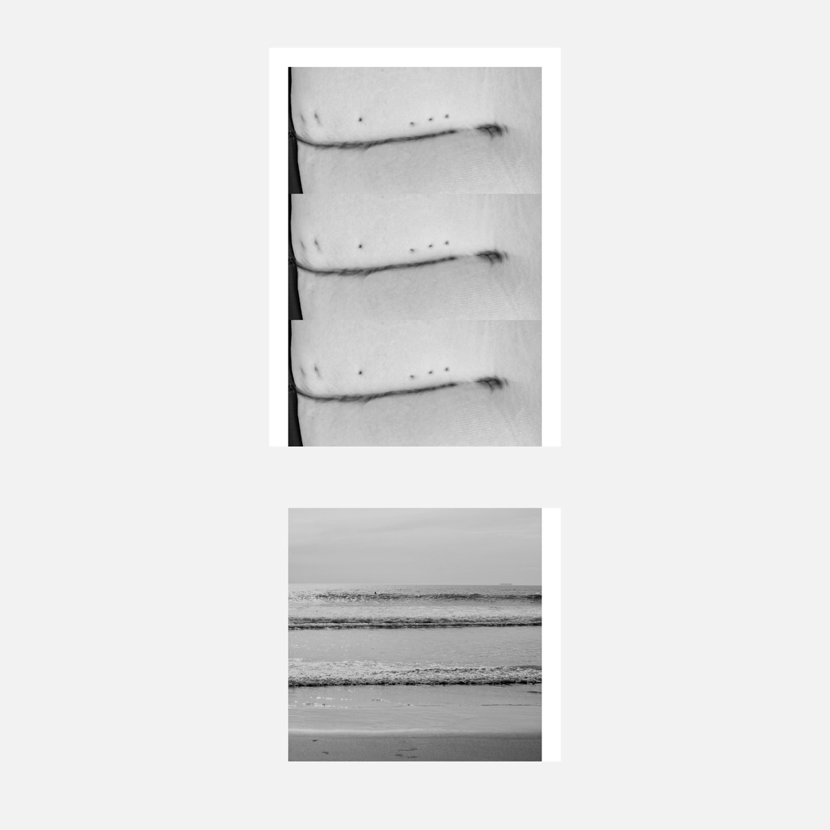 Undefined spaces, Humans walk in, A garden