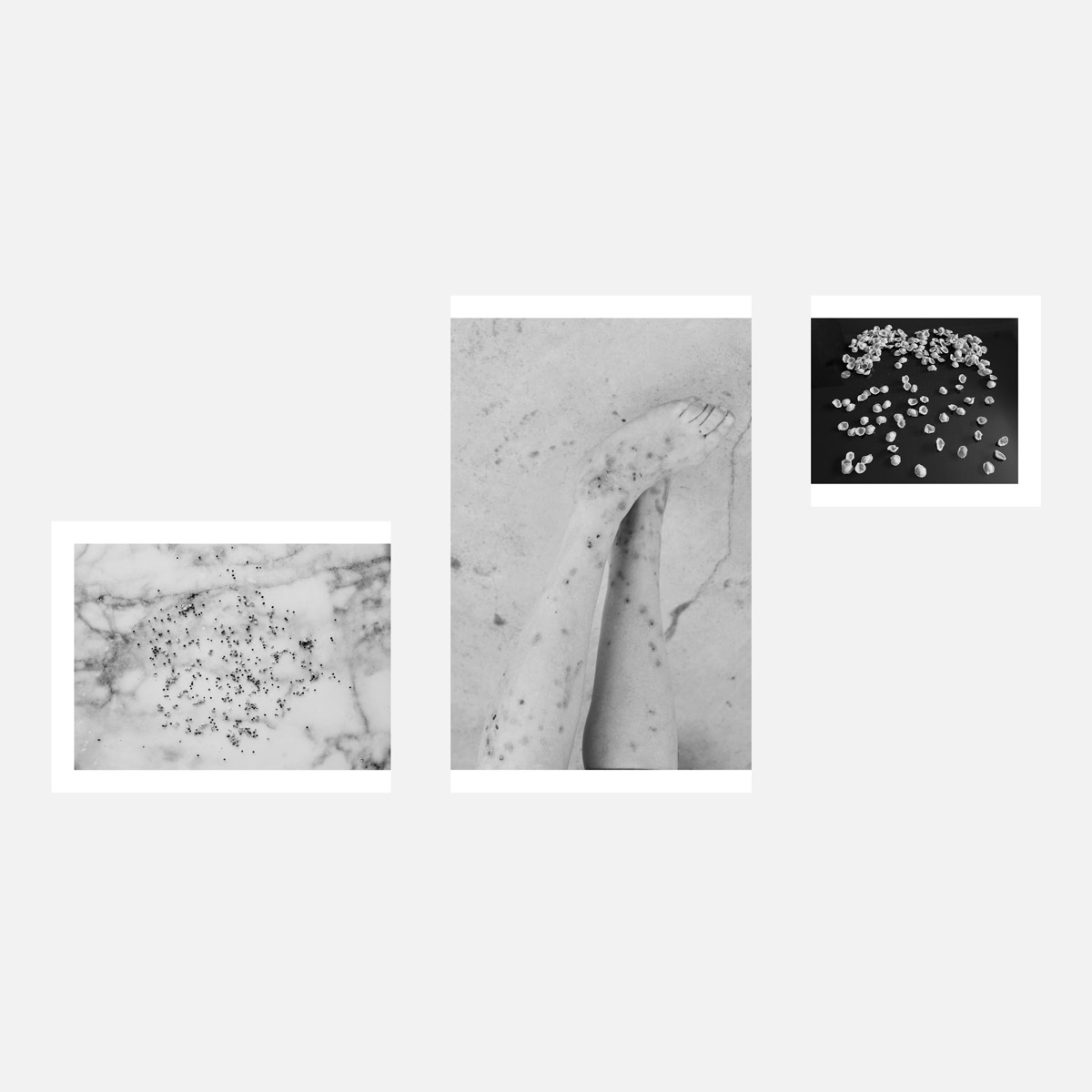 Undefined spaces, Humans walk in, A garden