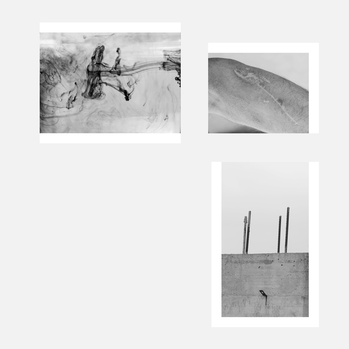 Undefined spaces, Humans walk in, A garden