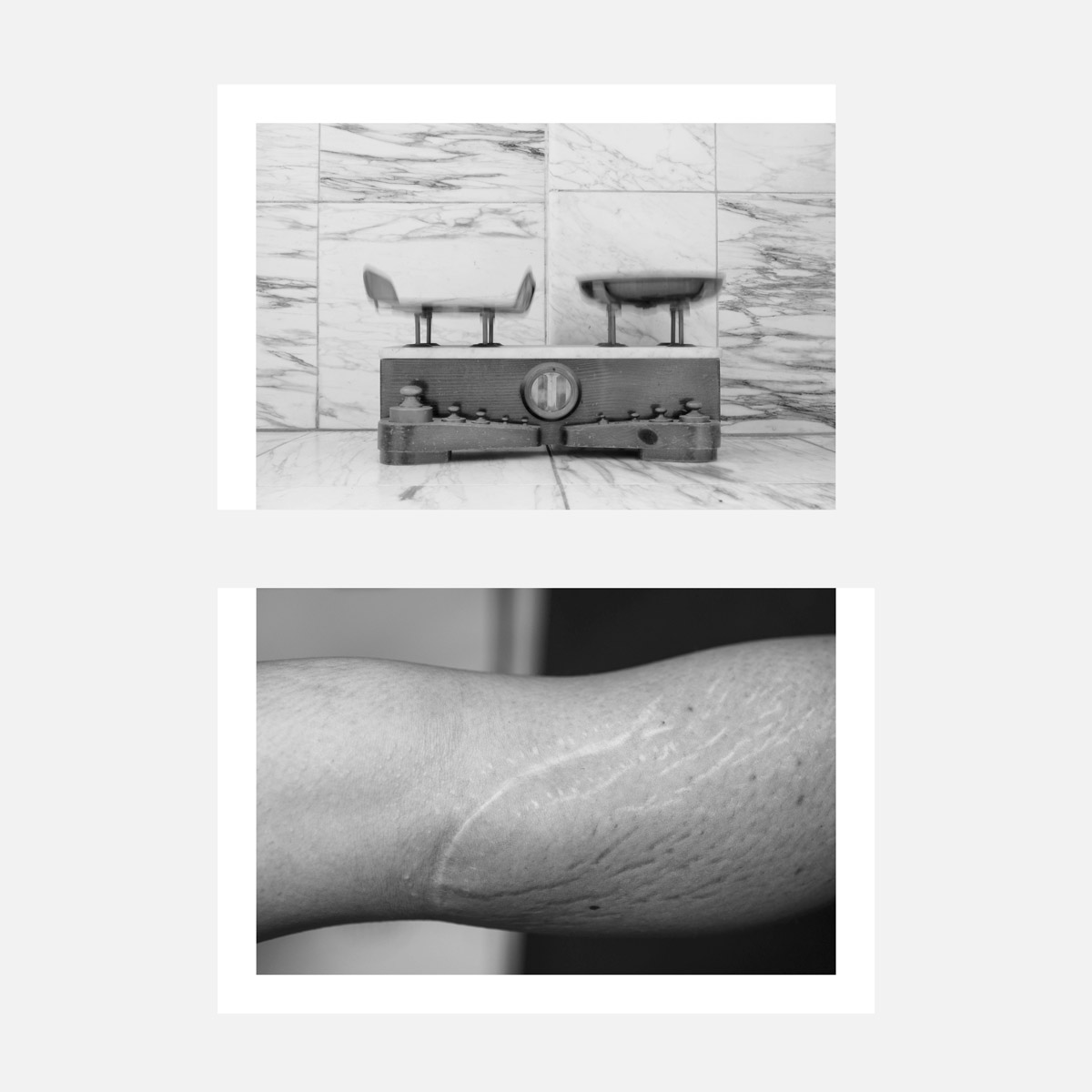 Undefined spaces, Humans walk in, A garden