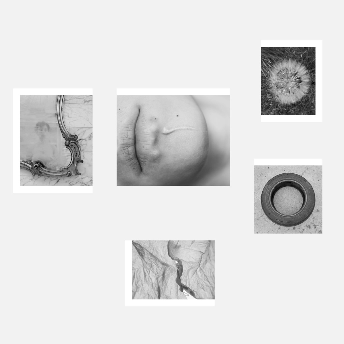 Undefined spaces, Humans walk in, A garden