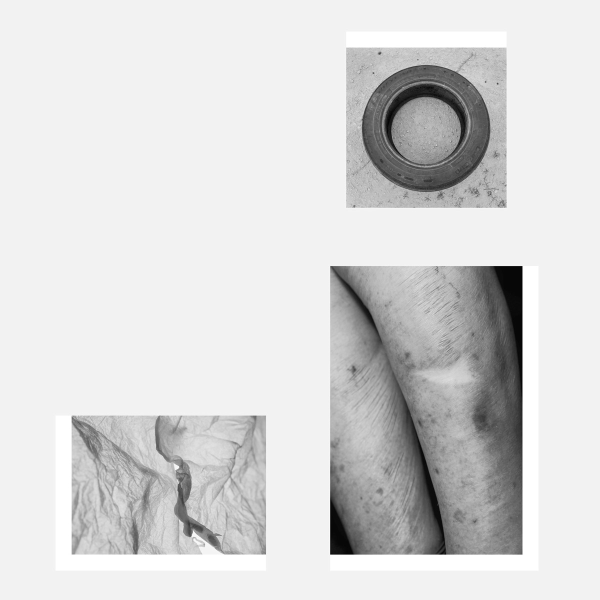 Undefined spaces, Humans walk in, A garden